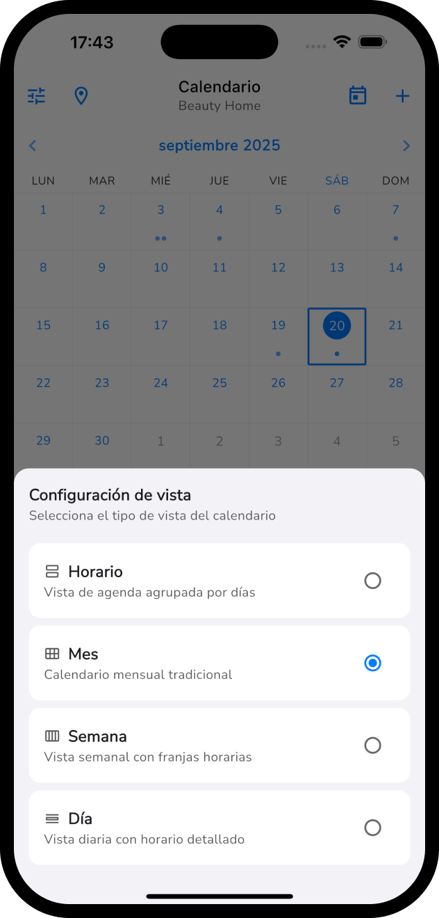 Múltiples Vistas de Calendario